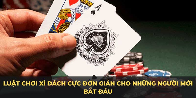 Luật chơi xì dách cho người mới bắt đầu