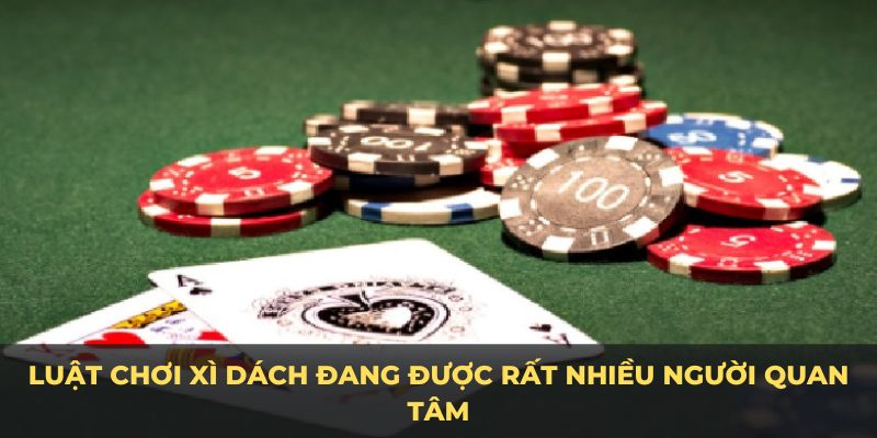 Luật chơi xì dách được nhiều người quan tâm